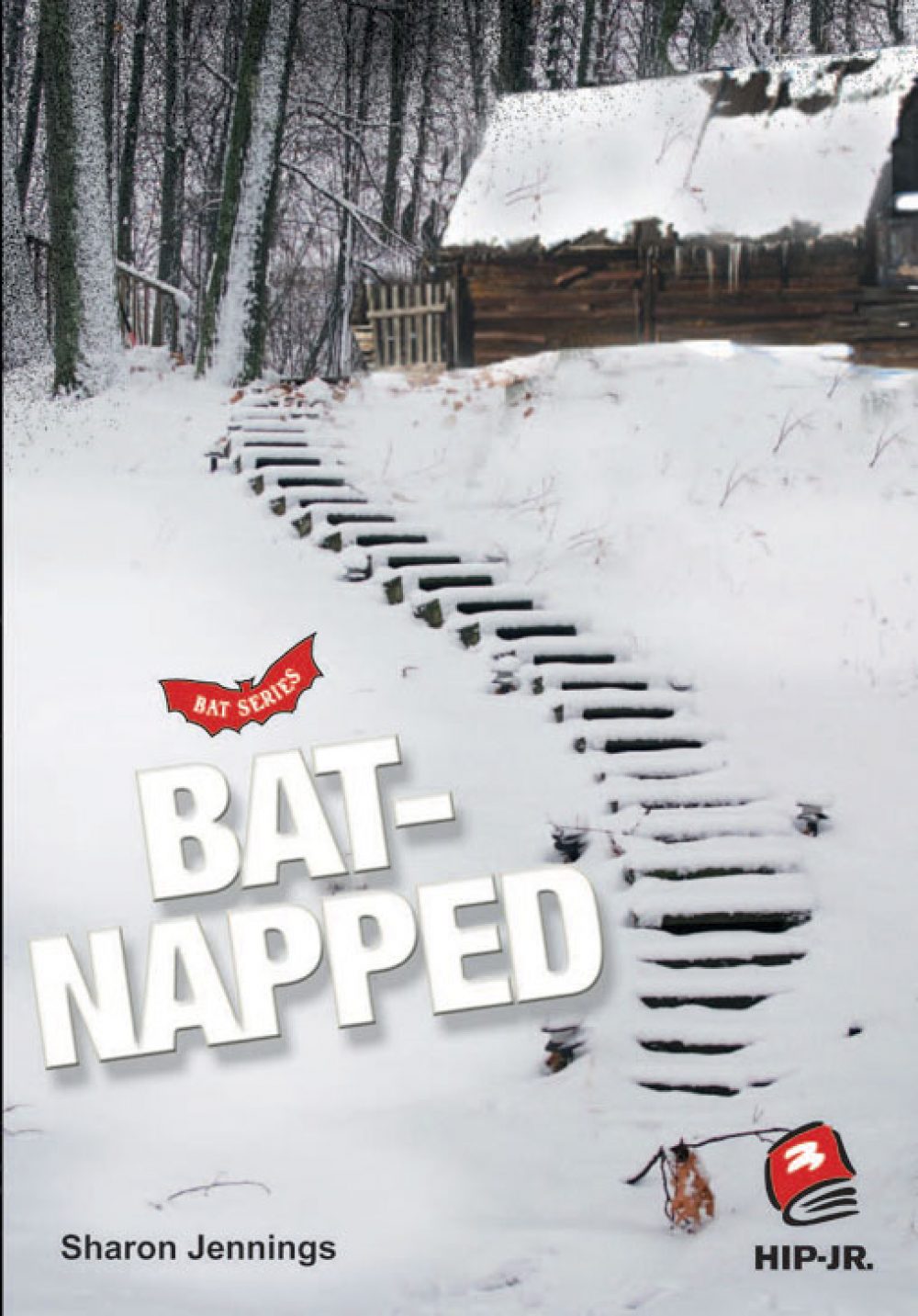 Bats 4: Batnapped Book Cover