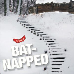 Bats 4: Batnapped Book Cover