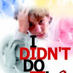 I Didn't Do It! Book Cover