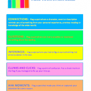 Flag Your Strategies Graphic Organizer from HIP