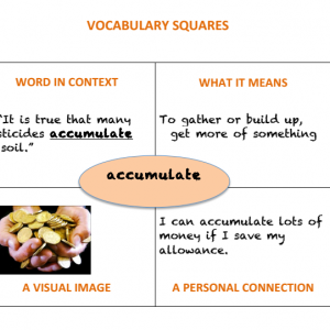 Vocabulary Square Sample