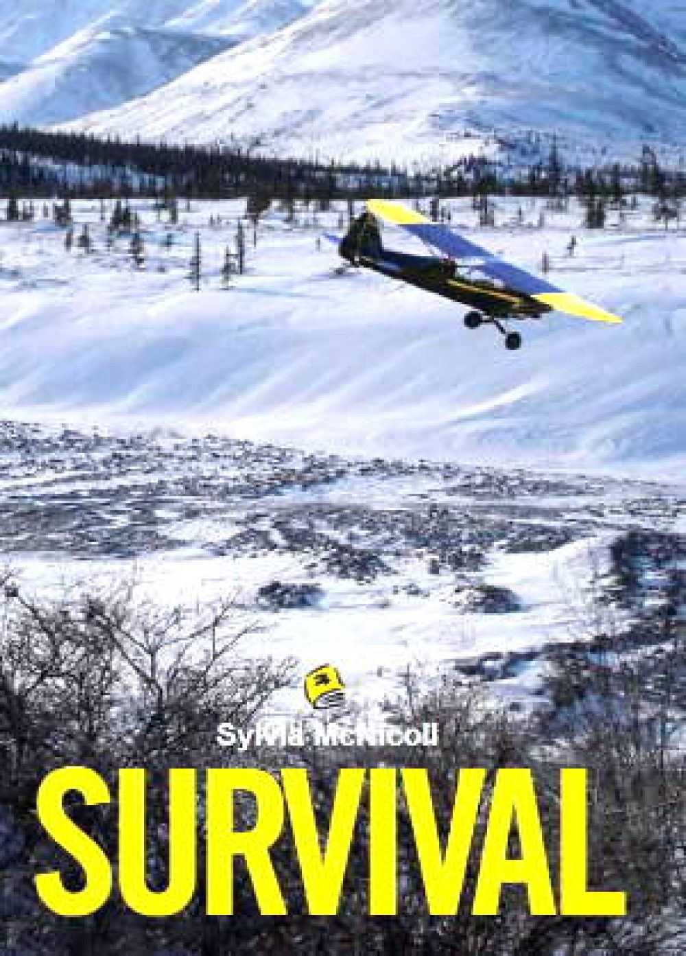 Survival: a hi-lo novel for teens from High Interest Publishing