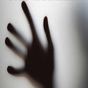The Warning Book Cover