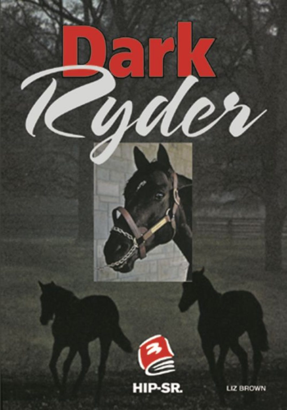 Dark Ryder Book Cover