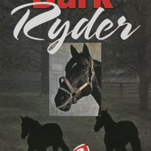 Dark Ryder Book Cover