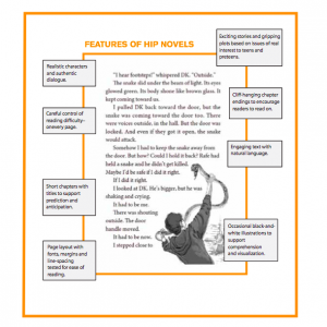 FEATURES OF HIP NOVELS IMAGE