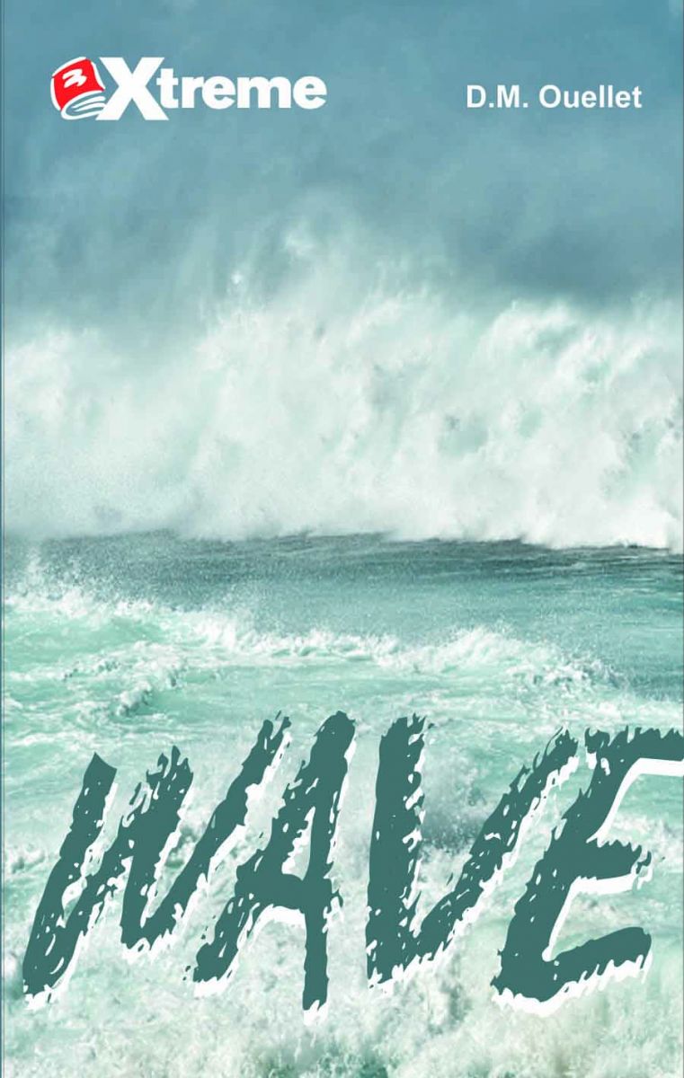 HIP Wave: a Novel for teens and preteens about surviving a tsunami