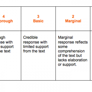 Response Rubric