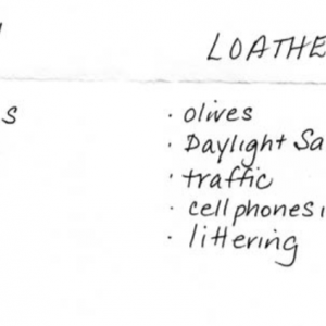 Love it or Loathe it image