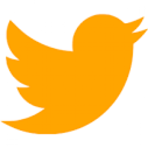 Orange Twitter Logo