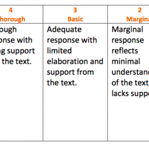 Rubric Screen Shot