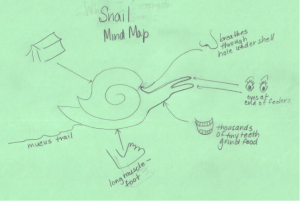 MIND MAP SMALL